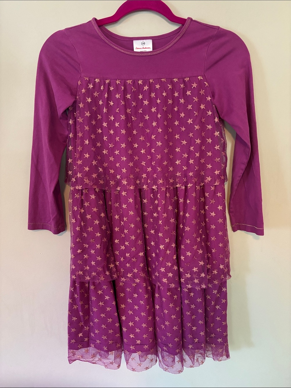 Hanna Andersson Purple Gold Metallic Star Tiered Tulle Long Sleeve Dress Sz 10